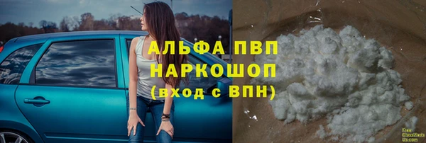шишки Кукмор