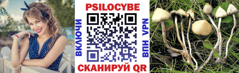 Галлюциногенные грибы Psilocybe  Красноярск 